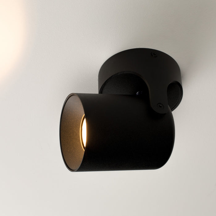 282897-x4.jpg (4150383) 