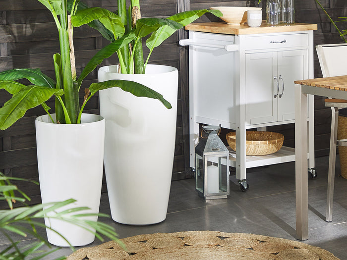 Beliani TSERIA Set van 2 bloempotten Wit