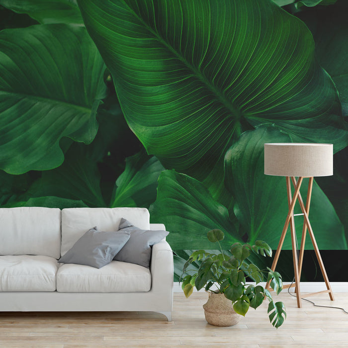 Daring Walls Behang Tropical leaves - 6