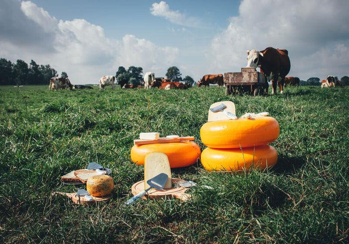 Kaasmes Halfzacht Mini Delfts Blauw