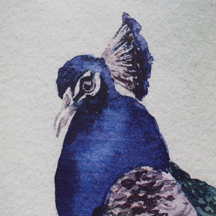 294267-x1.jpg (4268397) 