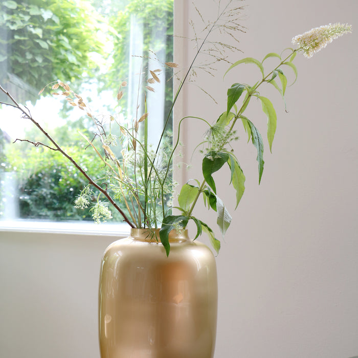 293278-x05.jpg (4268833) 