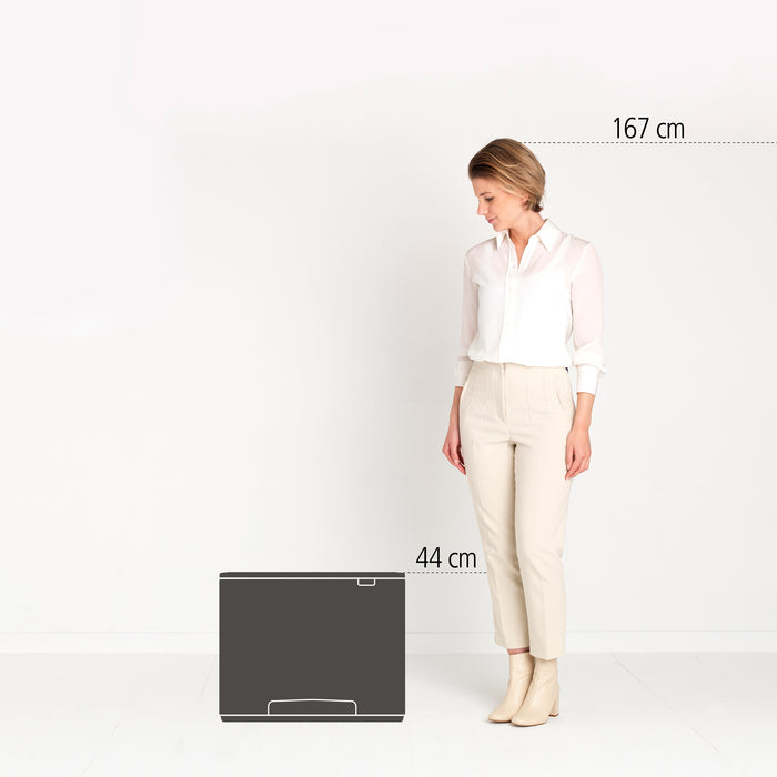 Brabantia Bo Pedaalemmer 33 Liter (3x11 Liter)