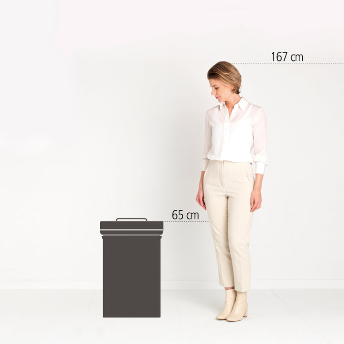 Brabantia Big Bin Afvalemmer 60 L