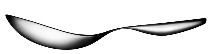 Iittala Collective Tools Serveerlepel