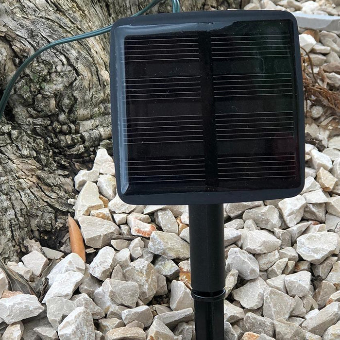 97a9983c-585f-4cf6-99e5-ca90a4826a71-afbeelding7.jpg (4472409) 