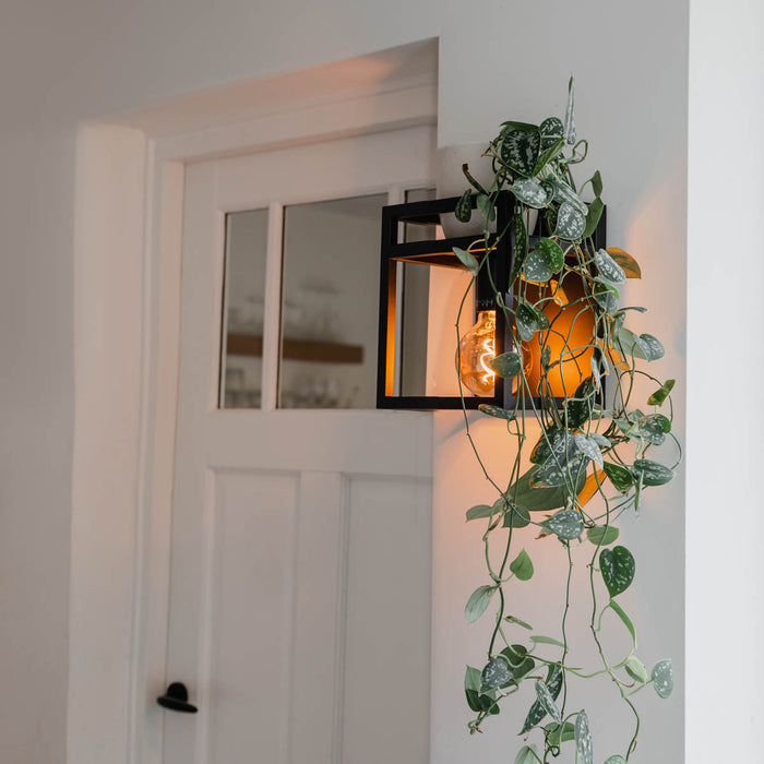 QAZQA Industriële wandlamp zwart met rek - Cage Rack