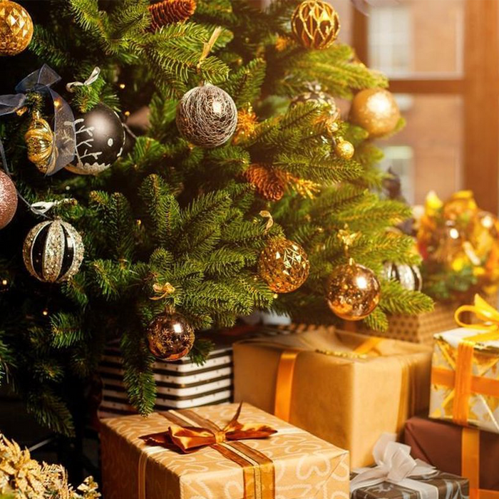 Bloomique - Echte Nordmann Kerstboom -Gezaagd Zonder Kluit - 140-150