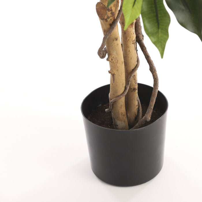 Mica Decorations Ficus Kunstplant - H105 x Ø60 cm - groen