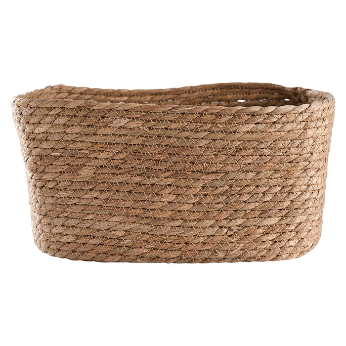 ff7cd303-5464-4b42-8c2e-adc25267b72b-afbeelding5.jpg (4517945) 