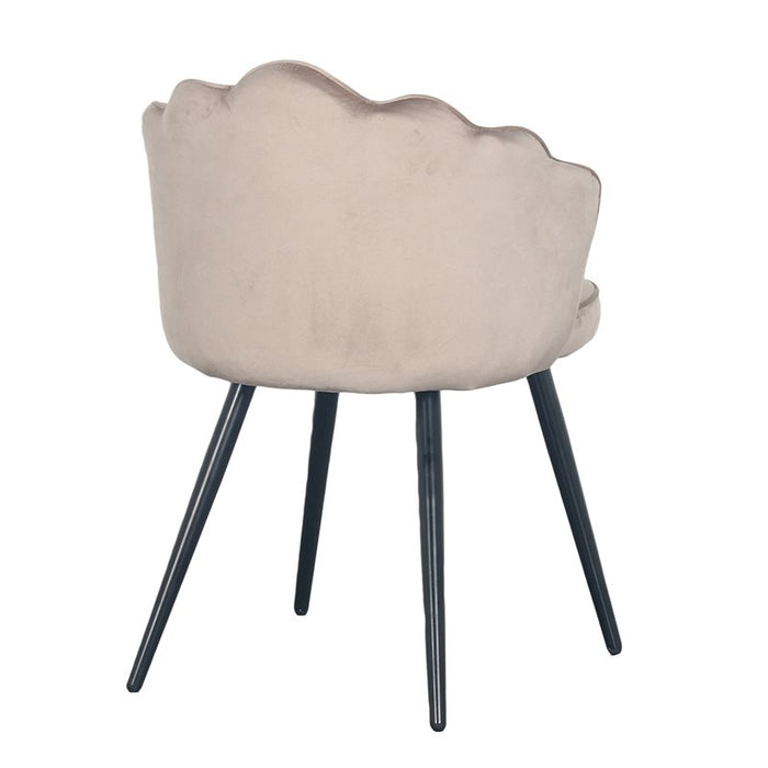 8afc72eb-328f-4364-a856-e51184ec1a61-afbeelding5.jpg (4561781) 