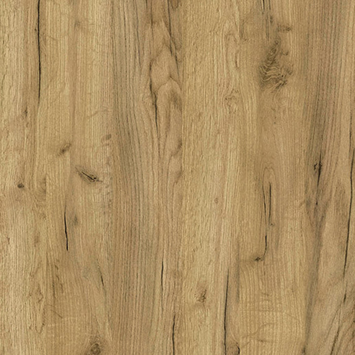 53ec2a70-1846-4f63-bc4f-91a2fbcb7363-afbeelding9.jpg (4578559) 