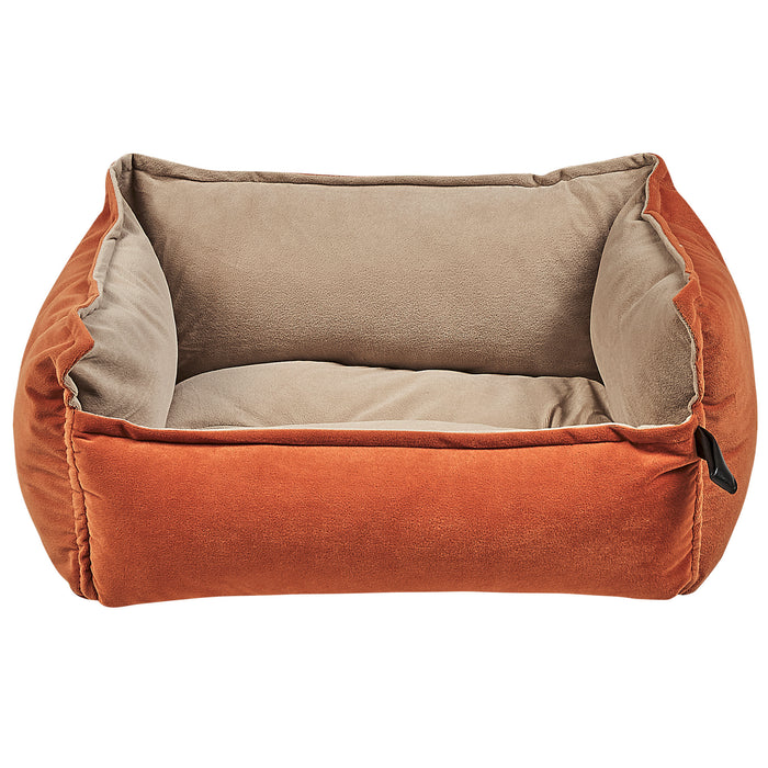 611d2ed9-3570-456e-938f-eabd14d369bb-afbeelding8.jpg (4606226) 