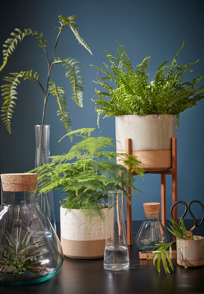 4deadfcd-8cdc-49bb-80e8-ee8a2d63a168-sfeerbeeld.jpg (4662766) 