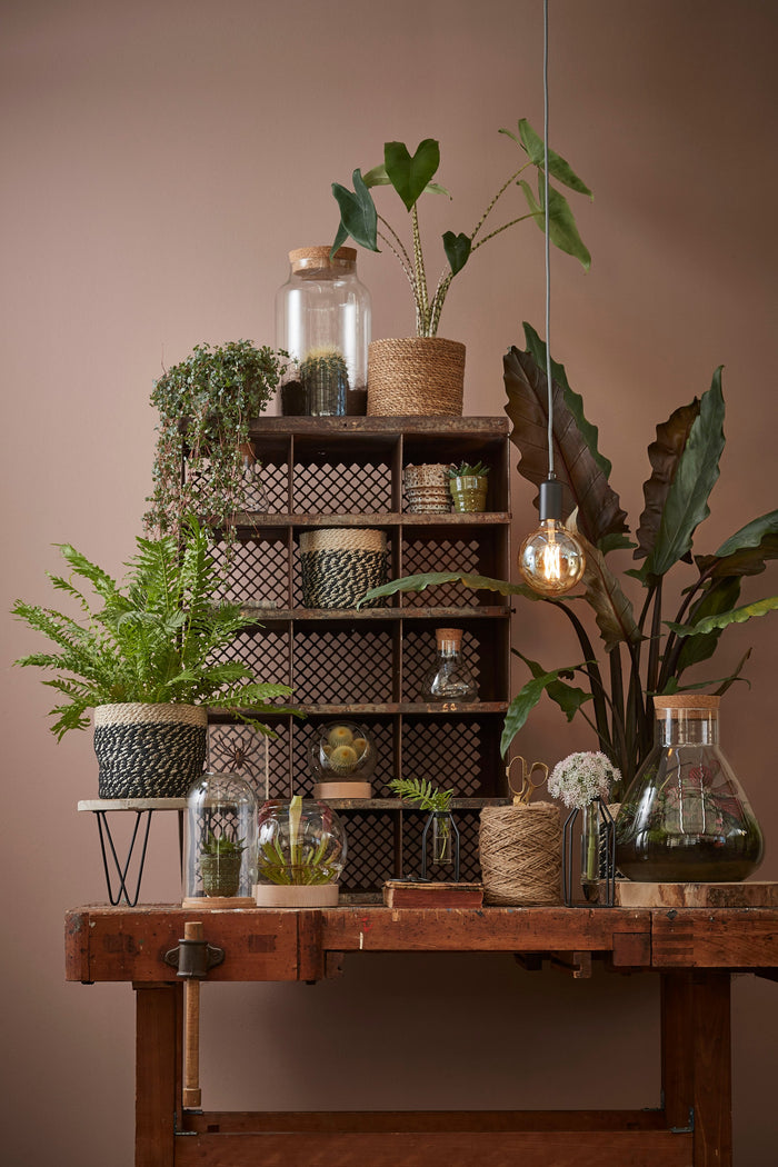 459d5724-b435-427d-9d8e-5d6e1e2dcd43-afbeelding9.jpg (4678062) 