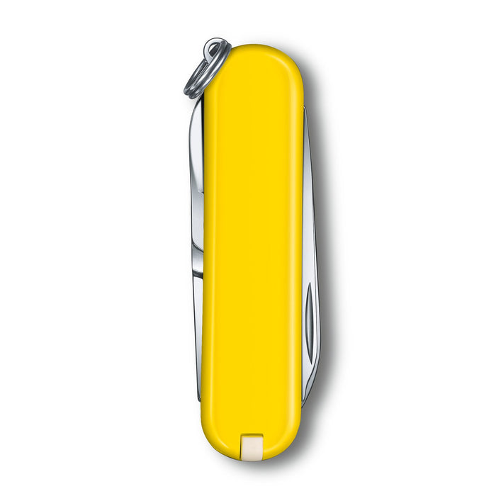 Victorinox Classic SD zakmes - Sunny Side - 7 functies - RVS