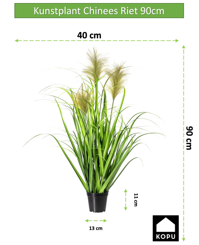 8d7f565f-e237-46d1-bb70-d74888e13865-afbeelding8.jpg (4737100) 