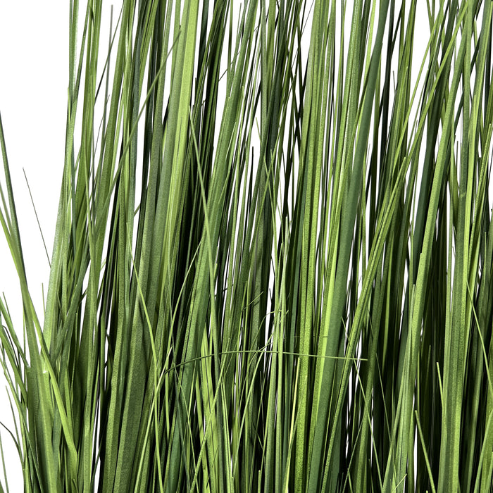 3ced33ef-b097-45db-a352-7a649bf330e5-afbeelding10.jpg (4737679) 