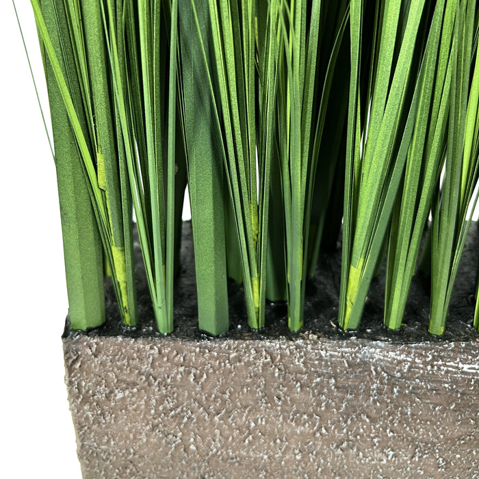 3ced33ef-b097-45db-a352-7a649bf330e5-afbeelding8.jpg (4737687) 