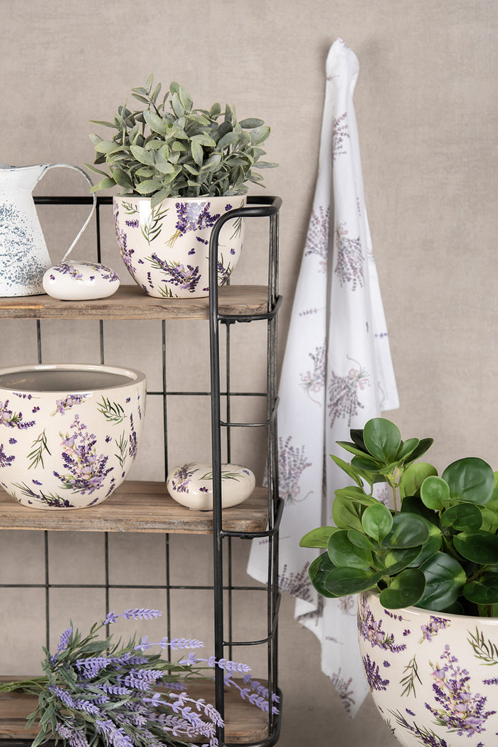 f5c5d348-cd52-4e94-b1a6-1dafdebf3299-afbeelding11.jpg (4740034) 