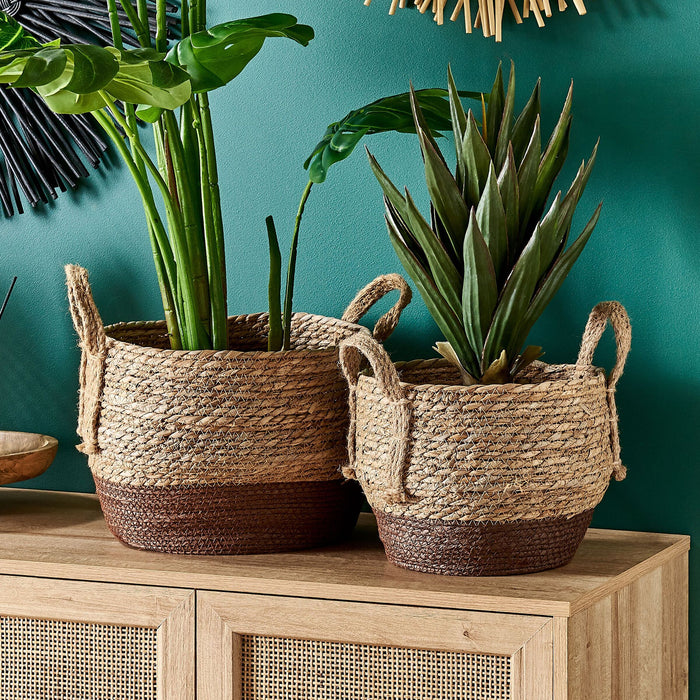 4d8dedbc-df82-43cc-a312-50a4532c2f0f-sfeerbeeld.jpg (4749445) 