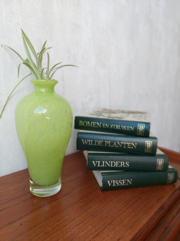 Reliving Neon - Appeltjesgroene Glazen Vaas