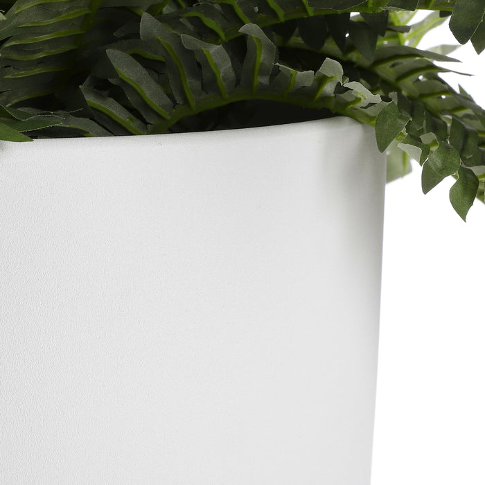 33ce9ac7-f870-42f9-b06b-9f256b1c91e3-afbeelding3.jpg (4782533) 