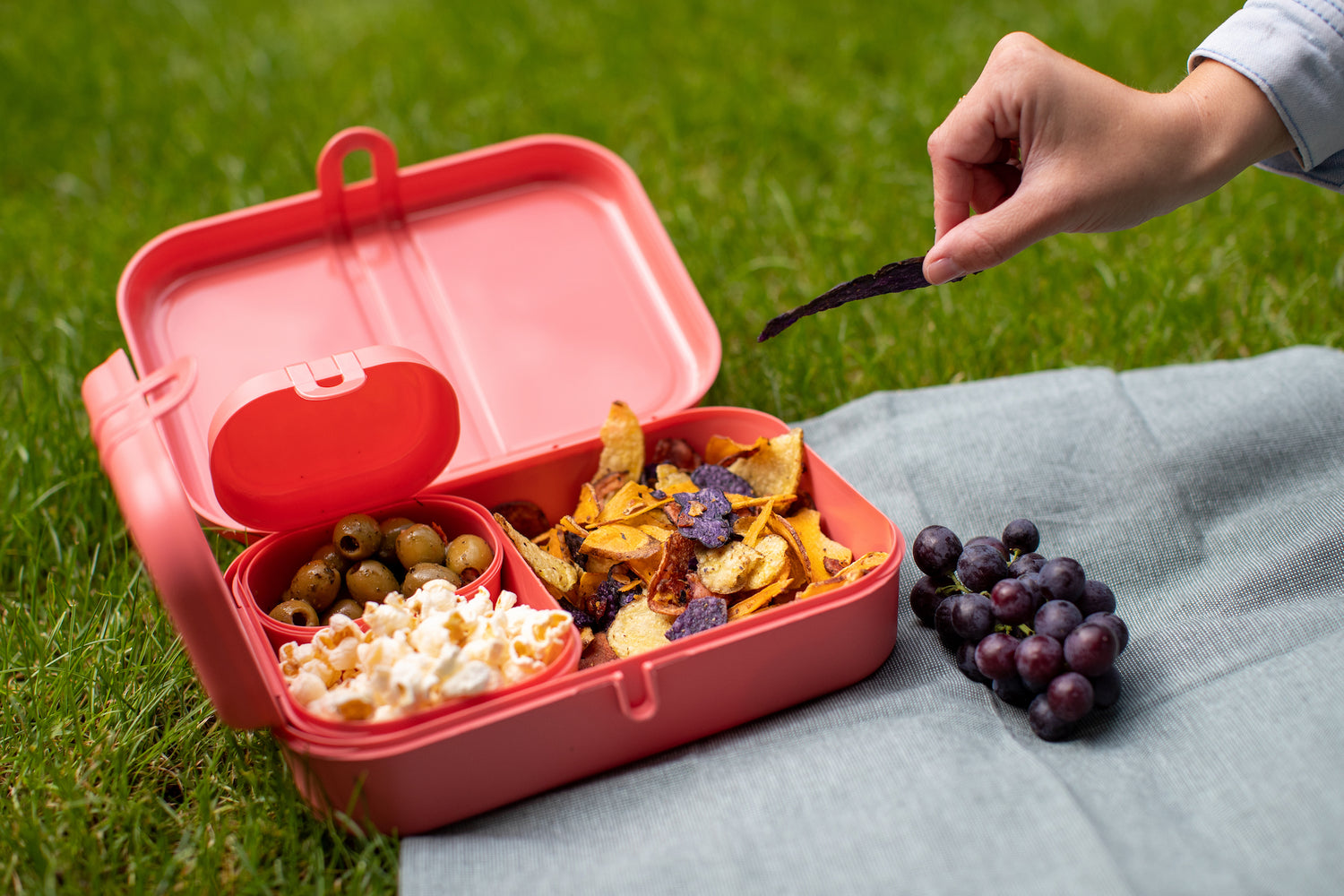 Lunchbox- en Bestekset, Organic, Natuur Koraal - Koziol | Pascal Ready