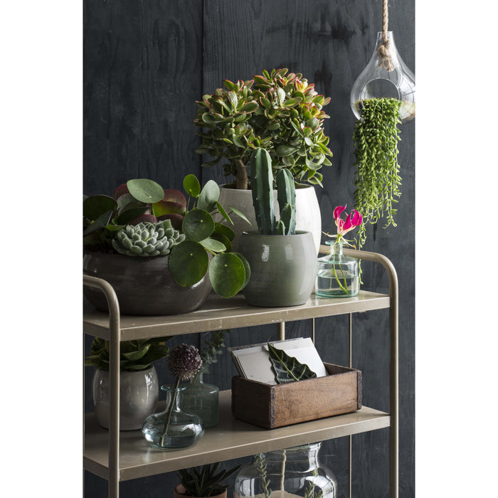 37cbc420-4f04-426e-ae0c-5ac84dc51a14-afbeelding4.jpg (4800873) 