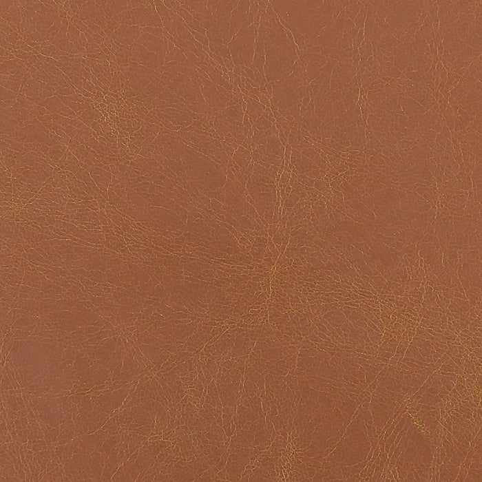 761ea74e-c45c-4749-b94f-d6b6fef892f0-afbeelding5.jpg (4829754) 