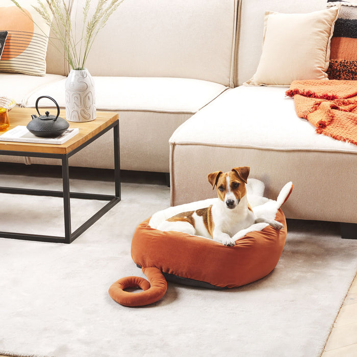 4bae8803-8482-4bc2-b8ab-d0763bebe69a-sfeerbeeld.jpg (4842722) 