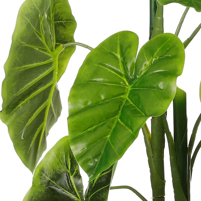 5d8e364e-7c40-4d8e-88e3-0743e5a36ec6-afbeelding3.jpg (4913166) 