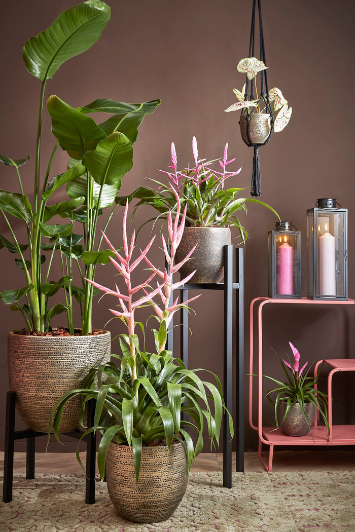 Mica Decorations Arzilla Lantaarn - L13,5 x B13 x H34,5 cm - Zwart