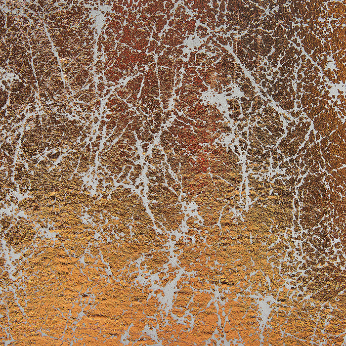 7875cb7f-be4a-45e7-85c6-1dfcf76c323f-afbeelding7.jpg (4948935) 