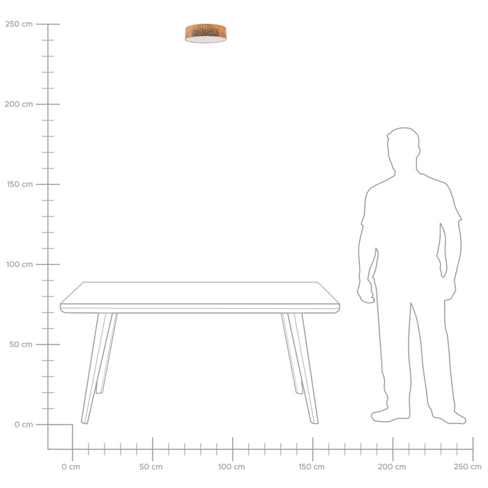 7875cb7f-be4a-45e7-85c6-1dfcf76c323f-afbeelding8.jpg (4948936) 