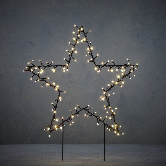 Garden d'Light Ster Tuinsteker met Klassiek Witte LED Verlichting