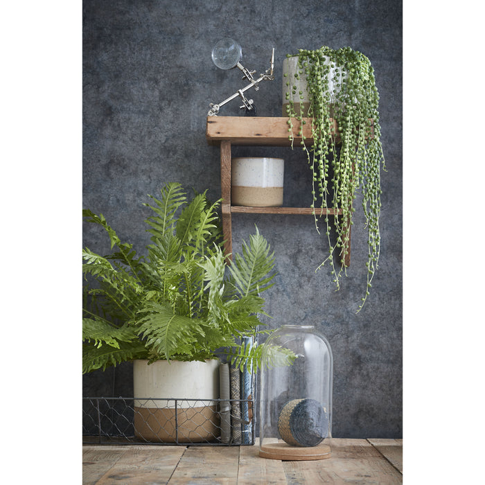 90d37b08-8626-4979-91da-65299ca0d8a3-afbeelding6.jpg (4966672) 