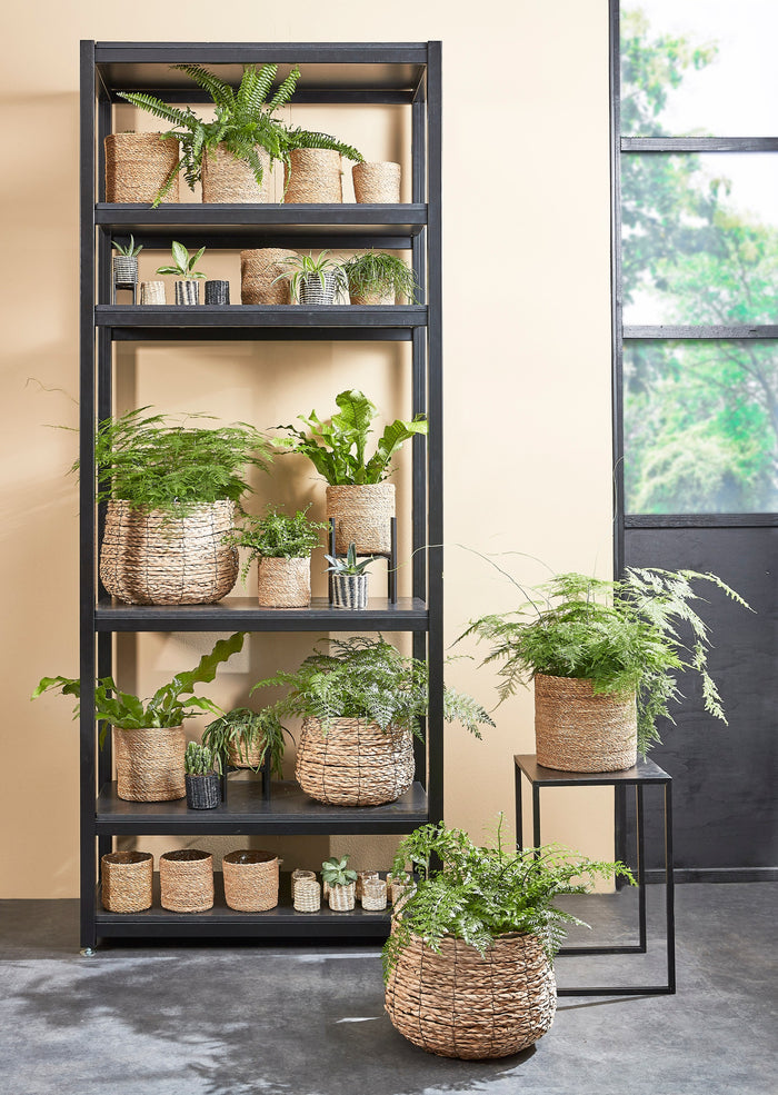 fe585061-b122-4532-8110-48fb5900fa64-afbeelding6.jpg (4987852) 