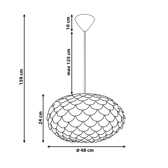 a4c97703-0734-4887-93a5-010e6a50838d-afbeelding11.jpg (4999617) 