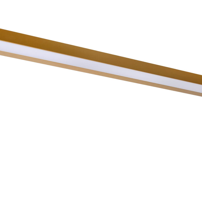 101bab7e-cf46-404a-a02f-61bfe0600d01-afbeelding3.jpg (5002545) 