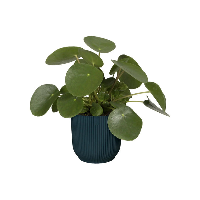 elho Vibes Fold Bloempot Ø 30 cm