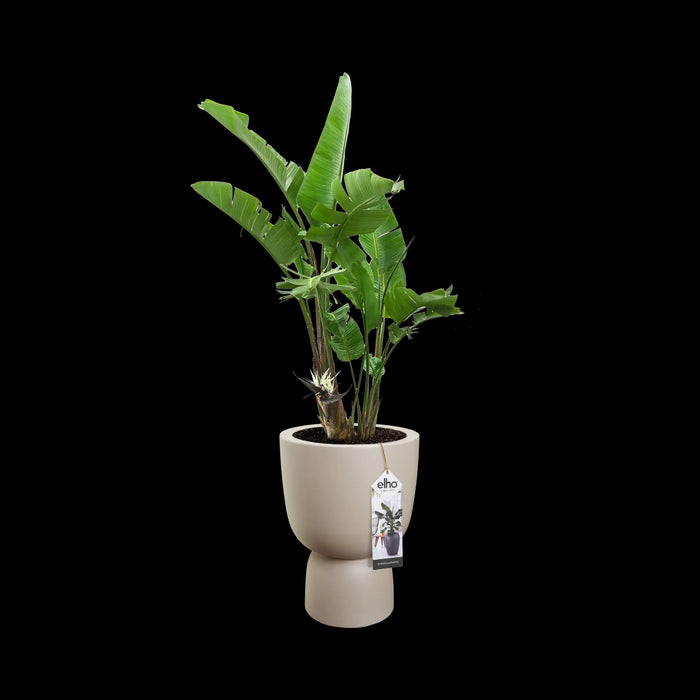 elho Pure Coupe Bloempot Ø 41 cm - Balanced Beige