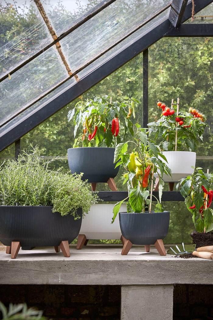 e2d588fb-9f6f-4b45-bb68-ac5f967ab673-afbeelding10.jpg (5027009) 