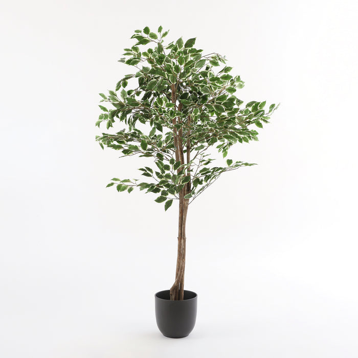 4925f9c0-063c-497c-b266-06e781d5158f-afbeelding3.jpg (5027324) 