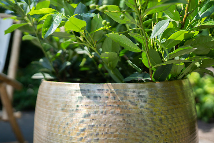 e5ee2b9f-ba7e-4216-8c8b-e0e4406e3b7d-afbeelding3.jpg (5027667) 