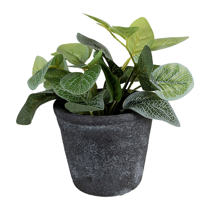 ffd73e50-26e9-4ee2-8005-55455f6b6cef-afbeelding10.jpg (5027825) 