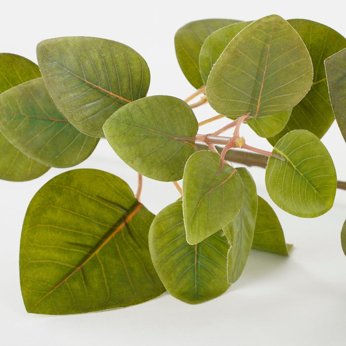 Mica Decorations Eucalyptus Kunstplant - L12 x B28 x H64 cm - Groen
