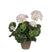 Mica Decorations Geranium Kunstplant - H34 x Ø20 cm - Wit, roze