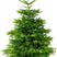 Plant&More - Nordmann Kerstboom 240-270 cm - Zonder Kluit