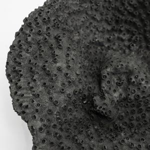 Furnilux - Wanddecoratie Rifa Black (3-Delig) - Afgietsels van koralen